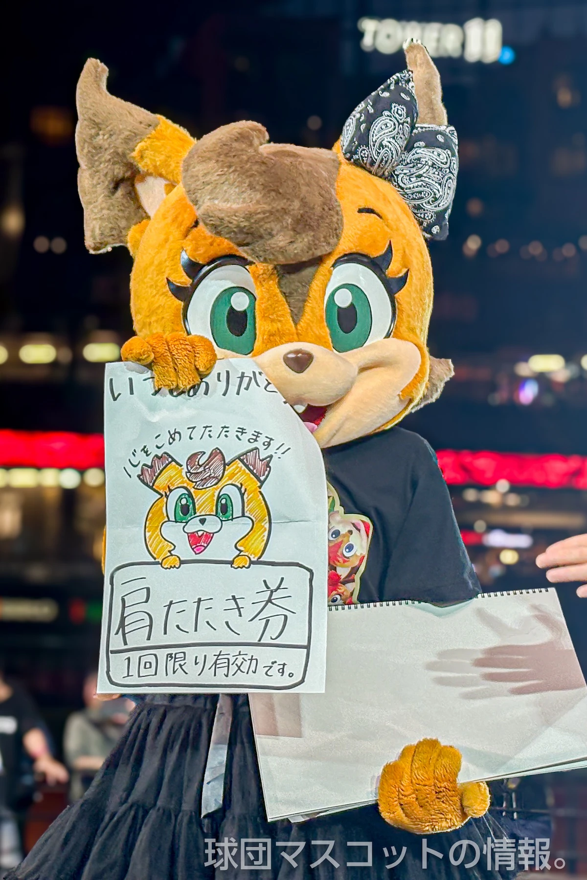 ポリーの画像 11枚目