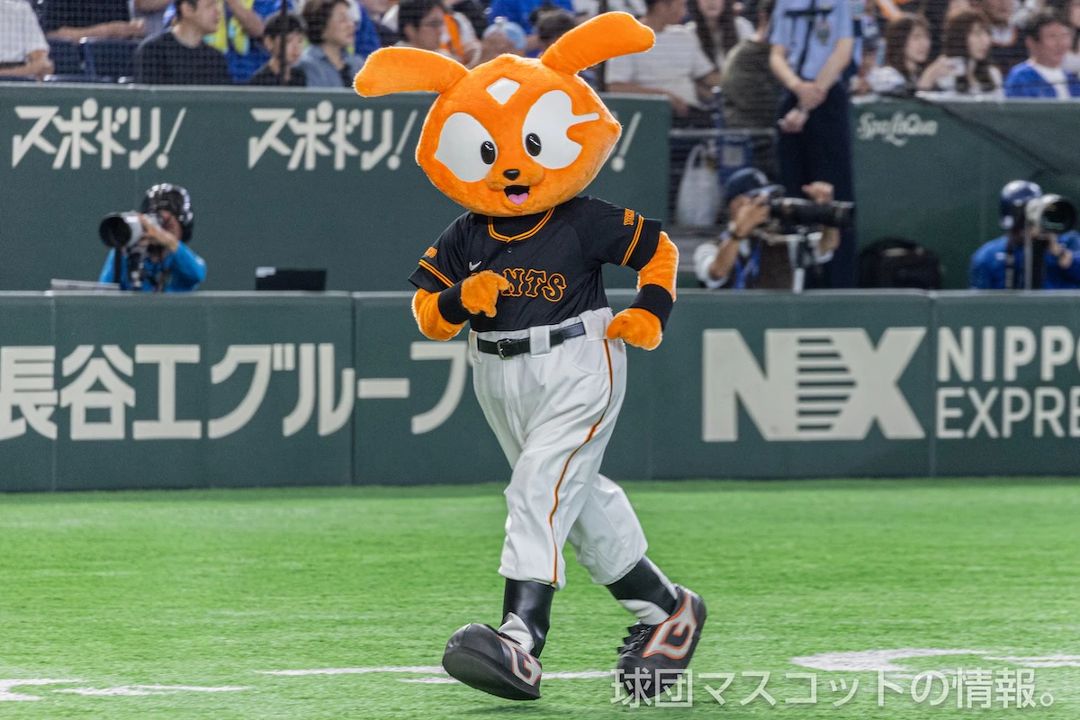 555ジャビットの画像 4枚目
