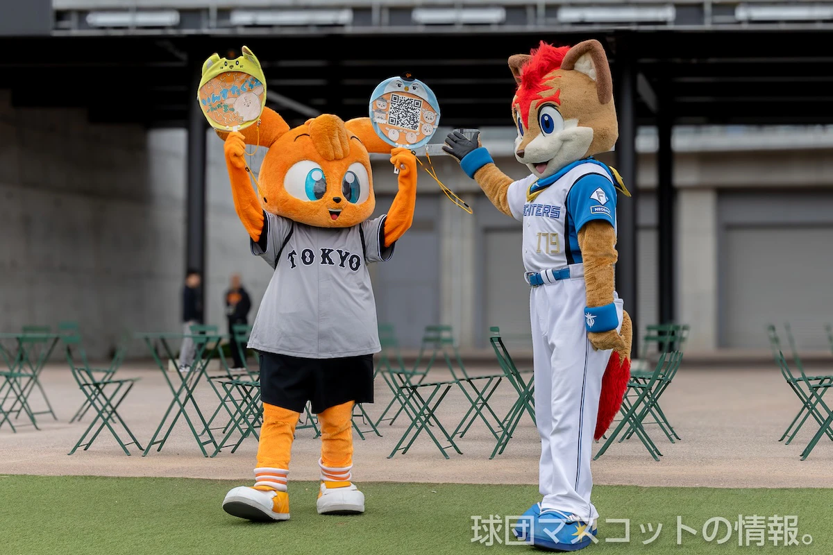 日本ハム対巨人 6枚目