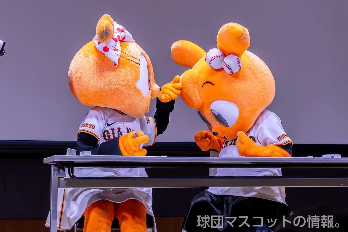 キッズジャビットおんなのこの画像 2