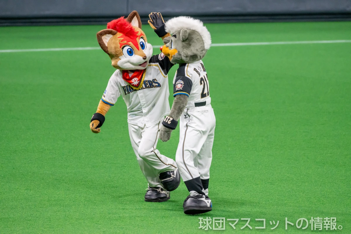 フレップの画像 2枚目