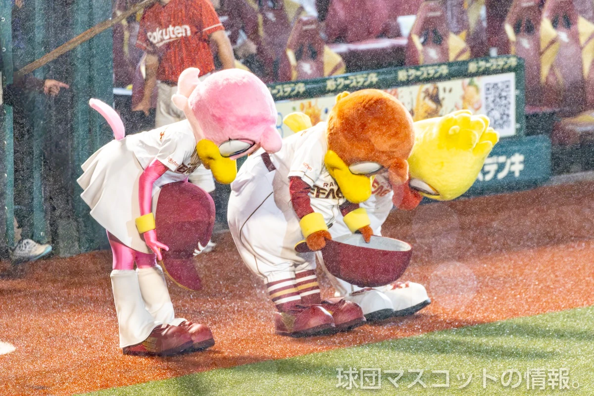 スイッチの画像 12枚目