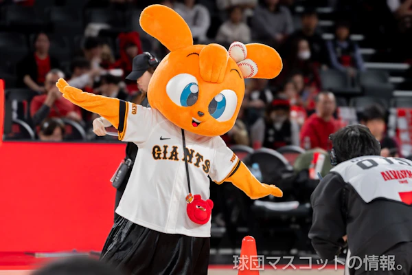 キッズジャビットおんなのこのサムネイル