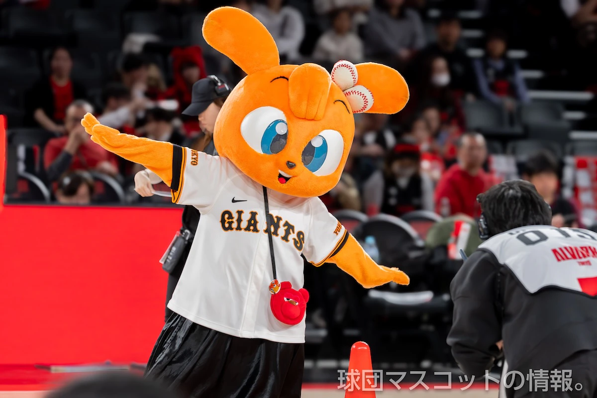 キッズジャビットおんなのこの画像 1