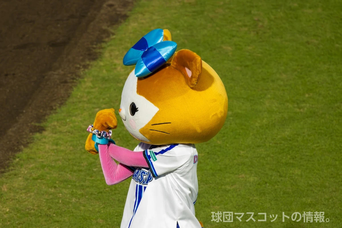DB.キララの画像 1