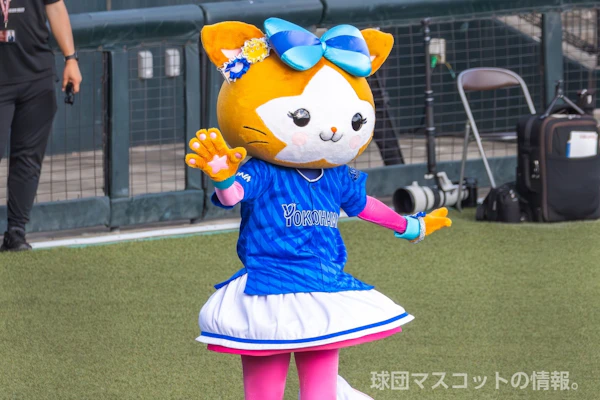 DB.キララのサムネイル