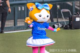 DB.キララ