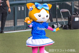 DB.キララのサムネイル