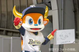 バファローブル