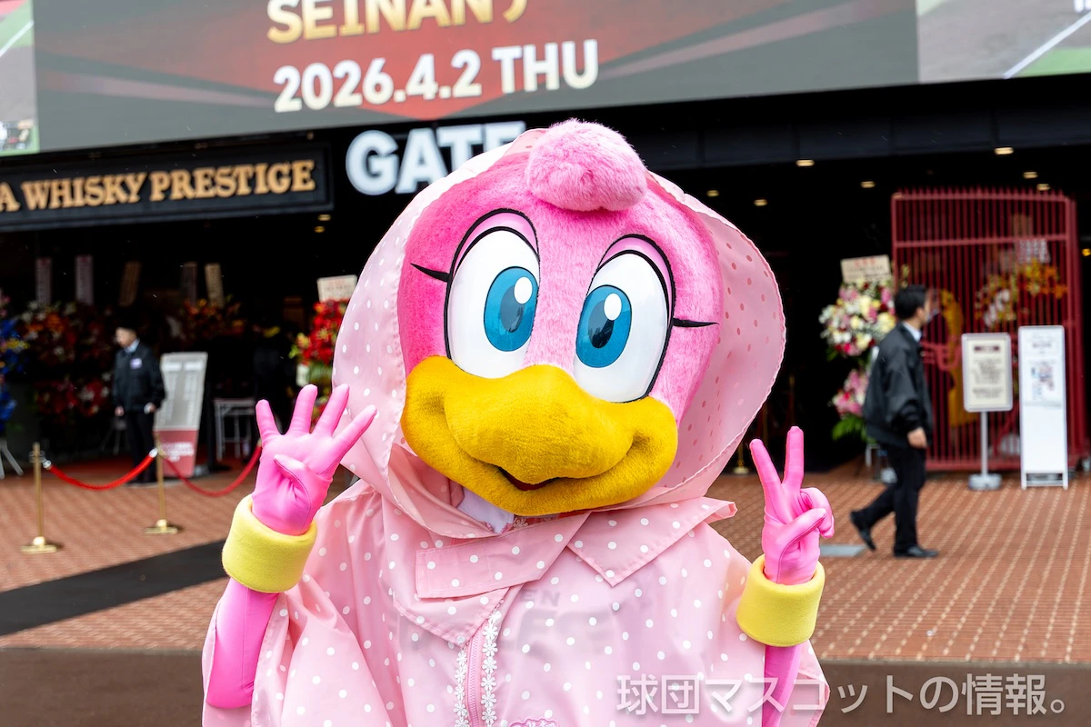 クラッチーナの画像 9枚目