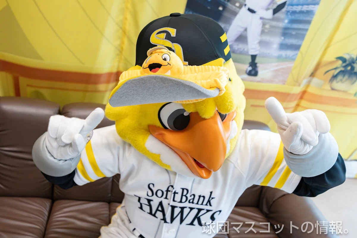 ハリーホーク スタジオ・ハリー