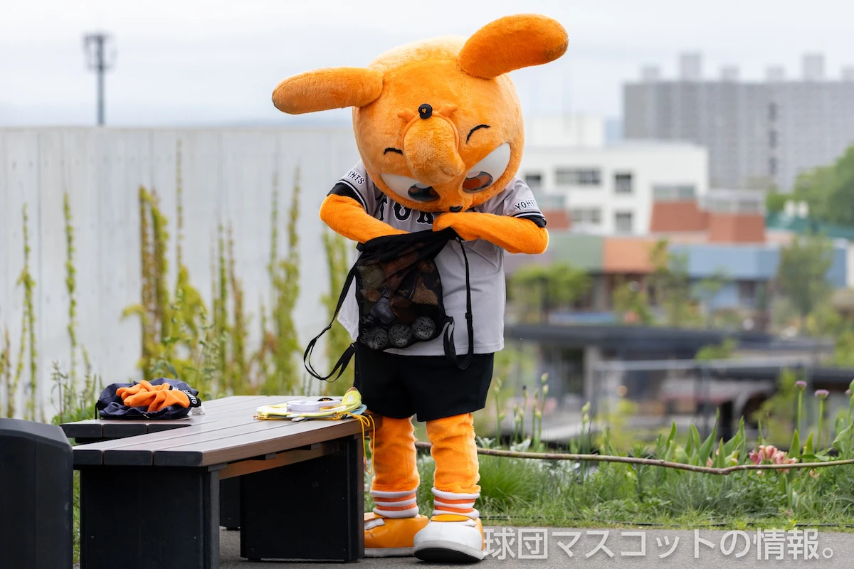 キッズジャビットおとこのこの画像 5枚目