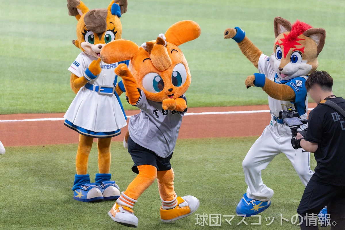 キッズジャビットおとこのこの画像 4枚目