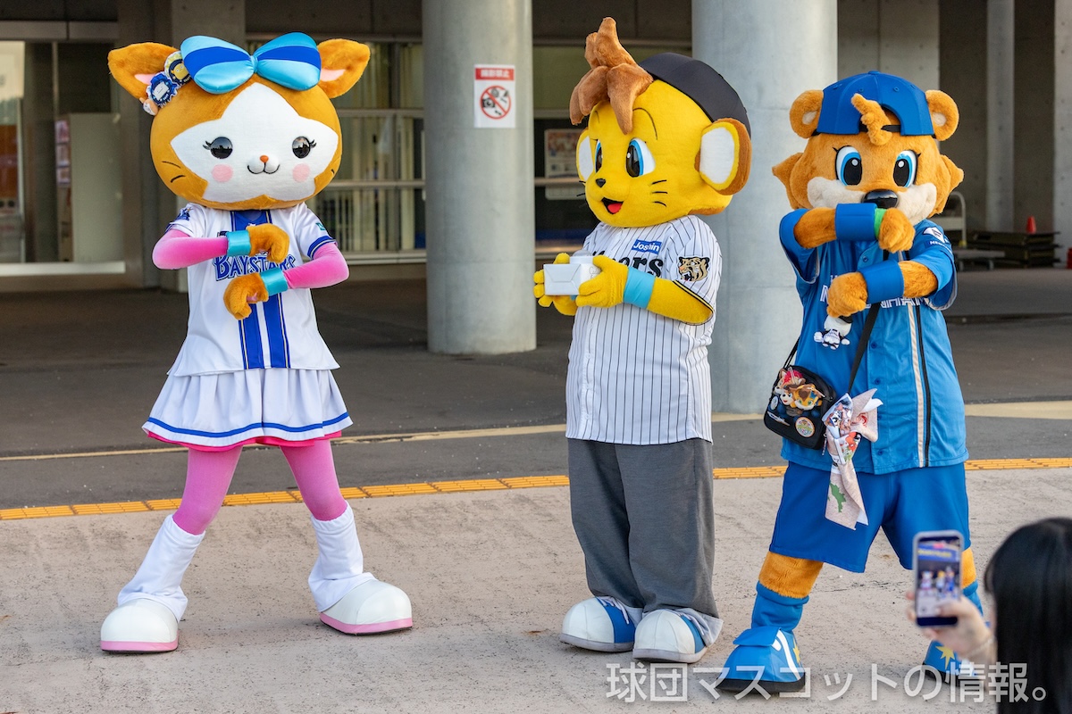 コラッキーのプロフィールと出演カレンダー｜球団マスコットの情報。
