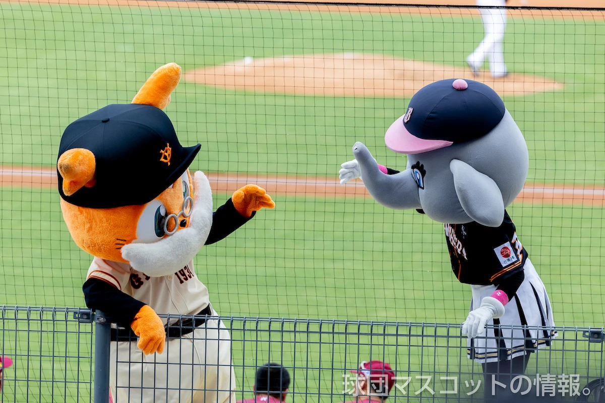 おじいちゃんジャビットの画像 2枚目