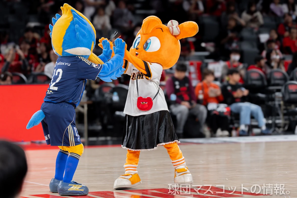 キッズジャビットおんなのこの画像 4