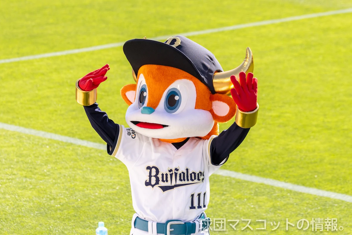 バファローブルの画像 2枚目