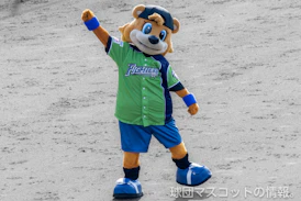 カビーのサムネイル
