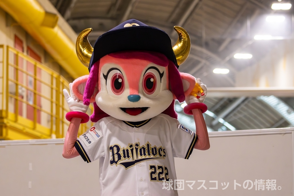 バファローベルのサムネイル