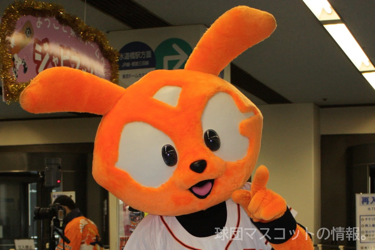 555ジャビットの画像 1