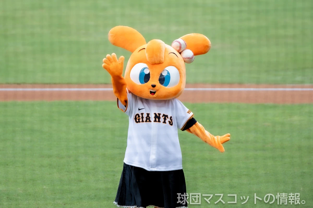 キッズジャビットおんなのこの画像 10枚目