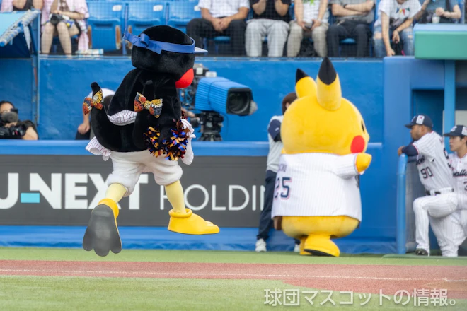 つば九郎、つばみ ヤクルト対中日