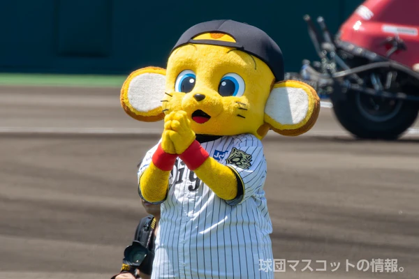 キー太のサムネイル