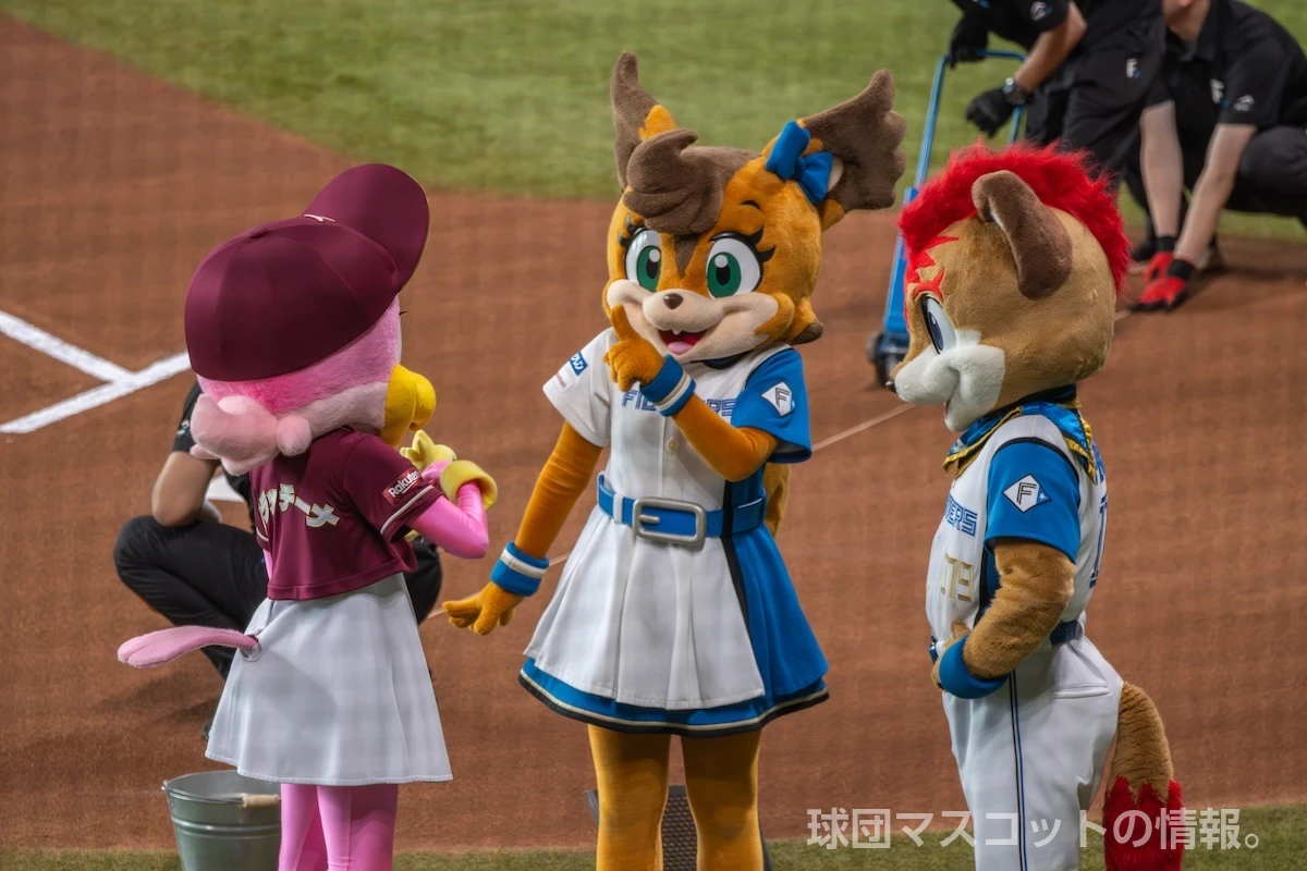 ポリーの画像 7枚目