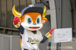 バファローブル