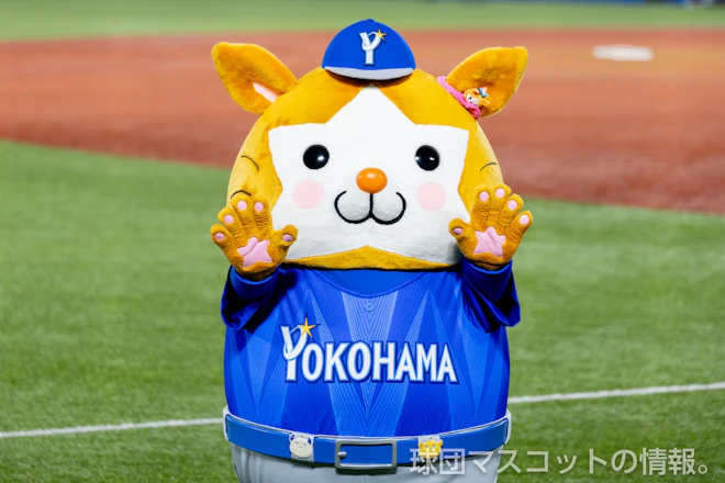 つば九郎、つばみ、DB.スターマン ヤクルト対DeNA