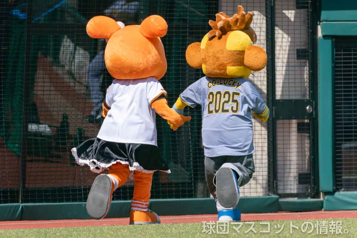キッズジャビットおんなのこの画像 20枚目