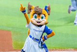 ポリー