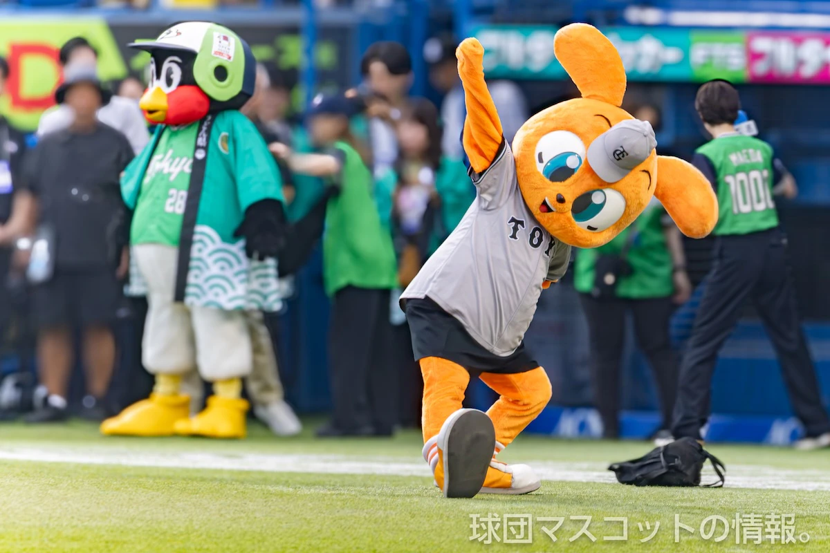 ヤクルト対巨人 3枚目