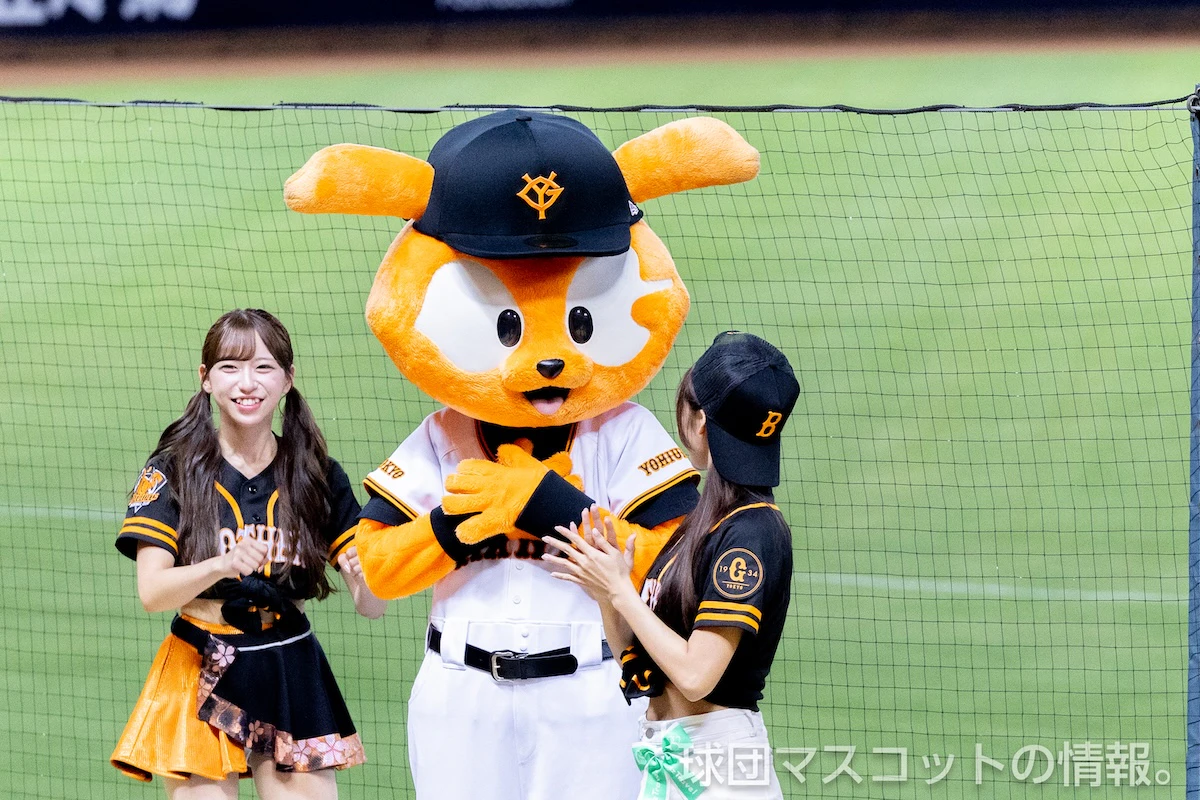 333ジャビットの画像 6枚目