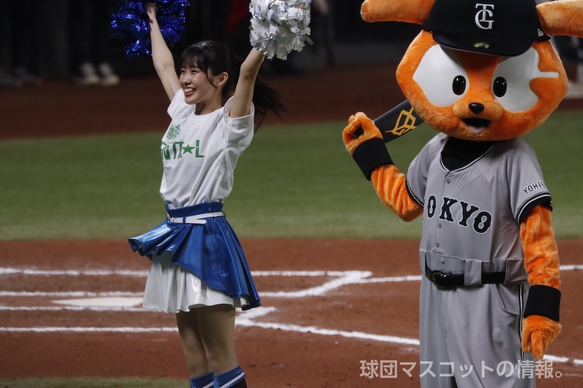 ジャビットの画像 1