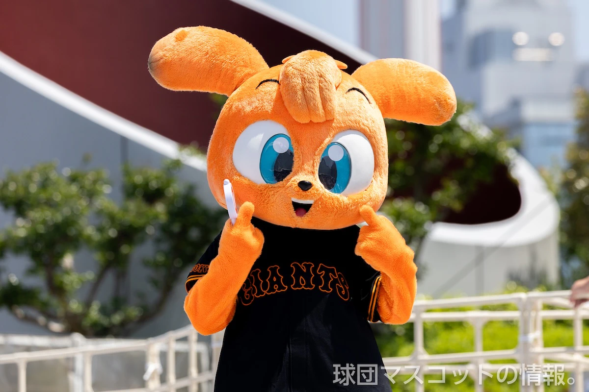 キッズジャビットおとこのこの画像
