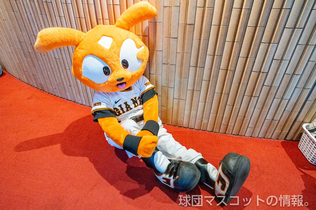 555ジャビットの画像 2枚目
