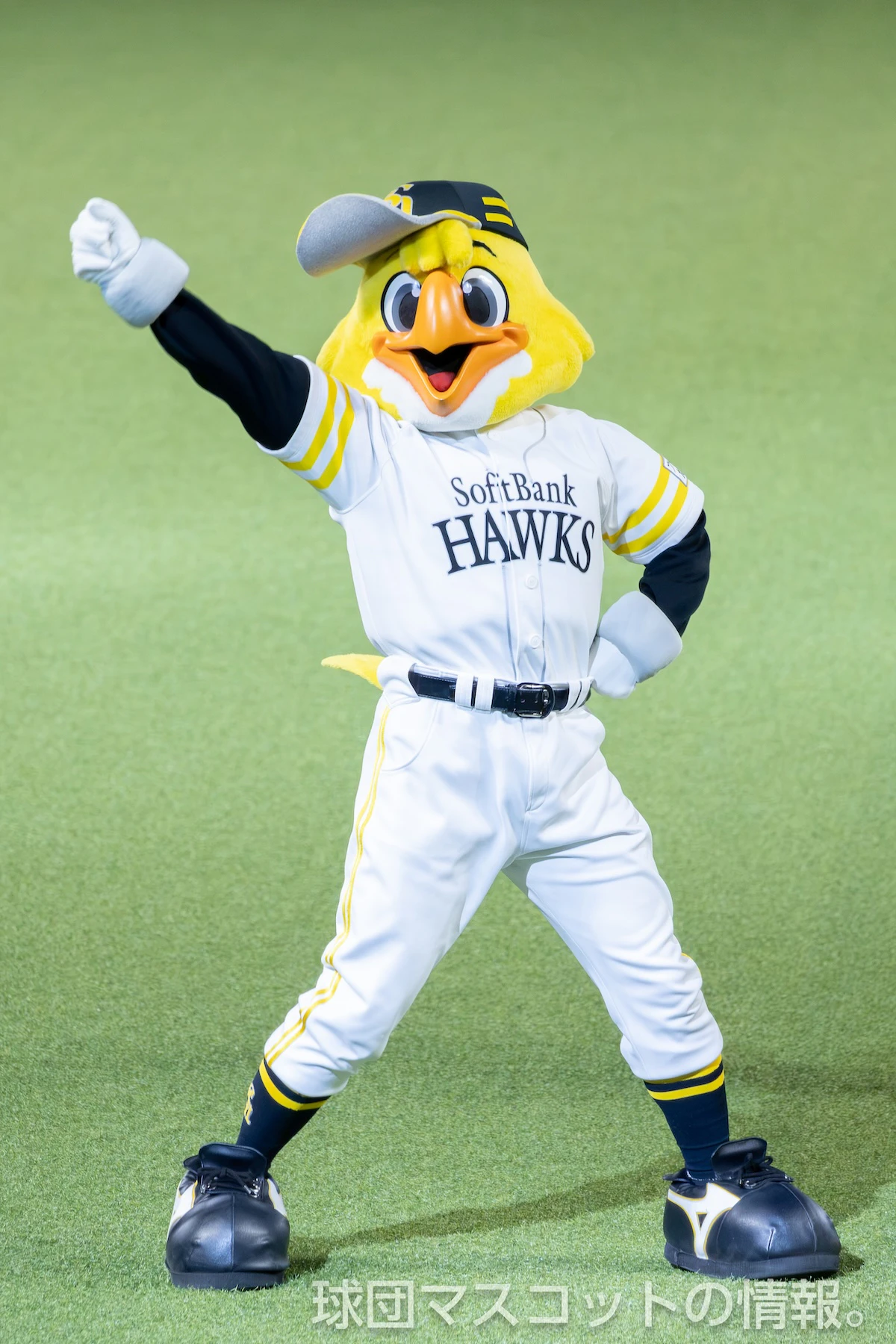 ソフトバンク対日本ハム 8枚目