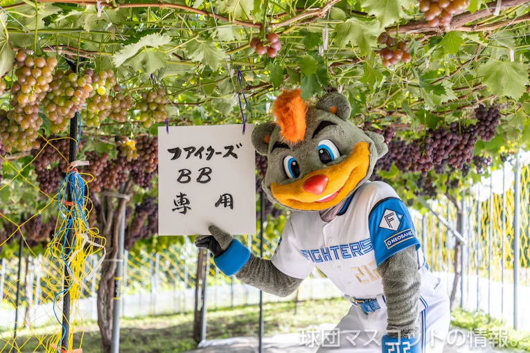 B・Bツアーは大盛況のフィナーレ 余市町＆仁木町1泊2日ツアー