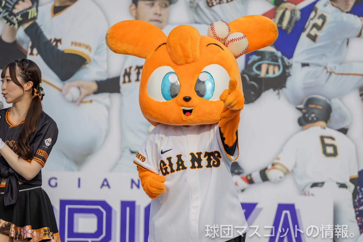 キッズジャビットおんなのこの画像 14枚目