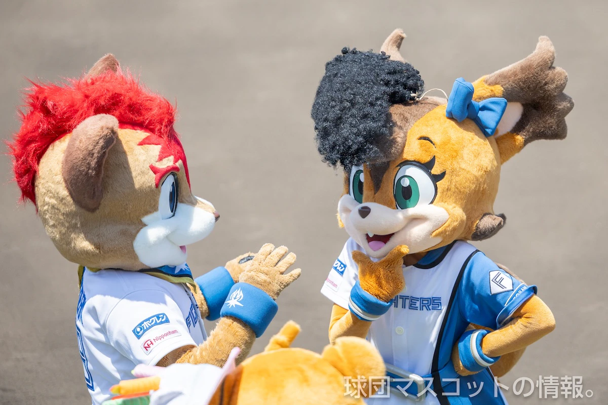 ポリーの画像 10枚目