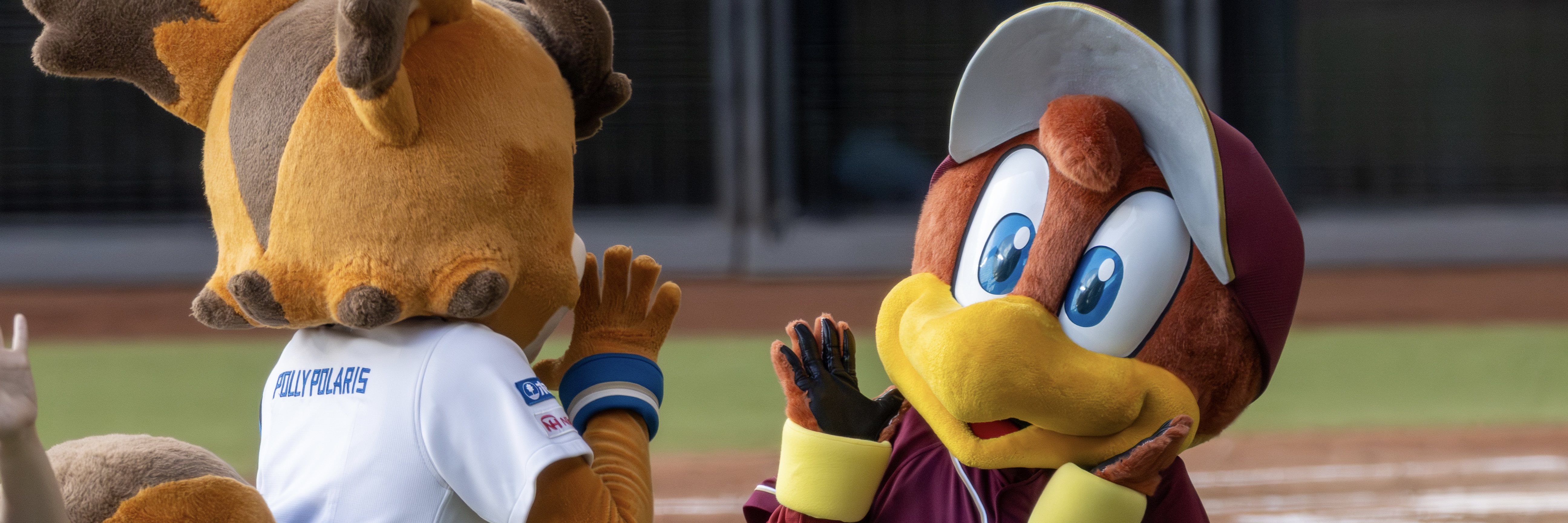 【2026年】12球団のビジター応援デー・マスコット交流まとめ