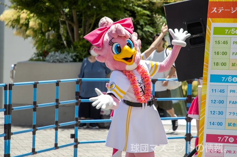 宮崎や沖縄でマスコットさんに会おう！キャンプ出演情報まとめ