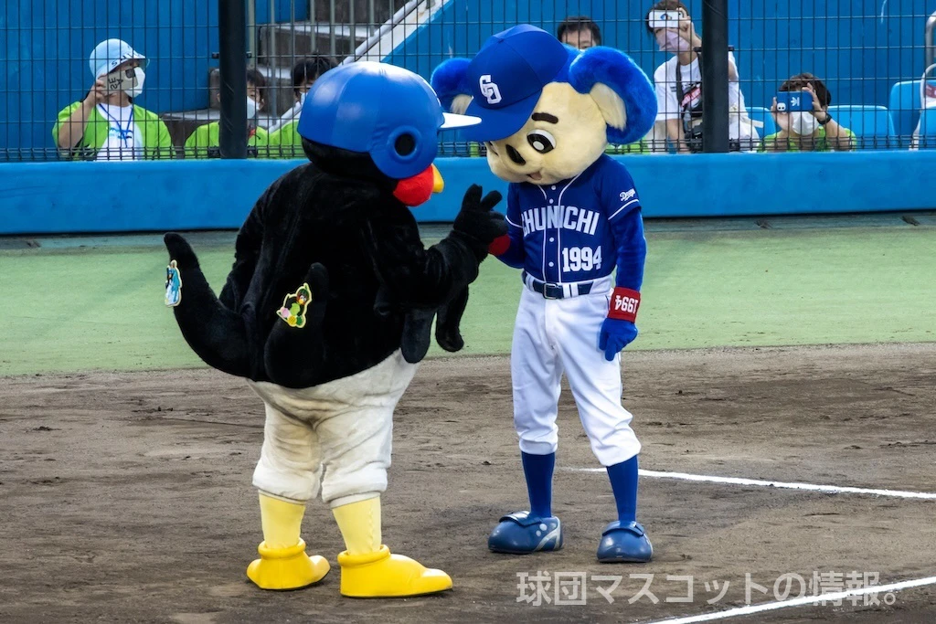 ドアラの画像 4枚目