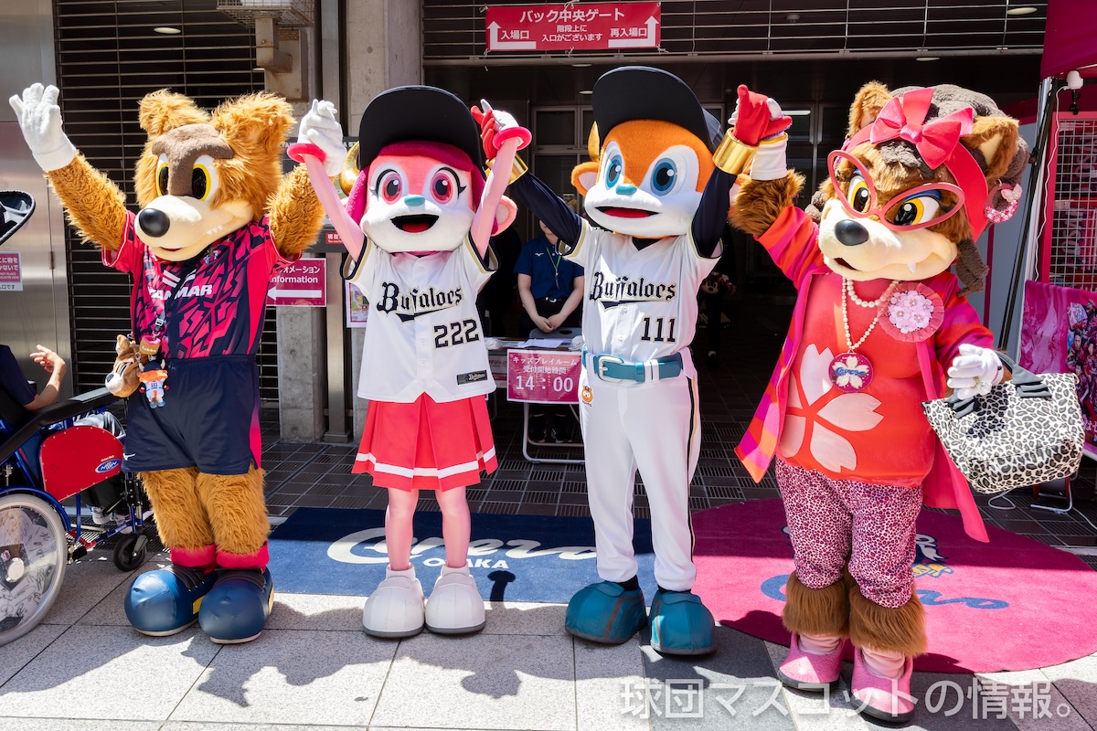 [サッカーJ1百年構想]C大阪対名古屋