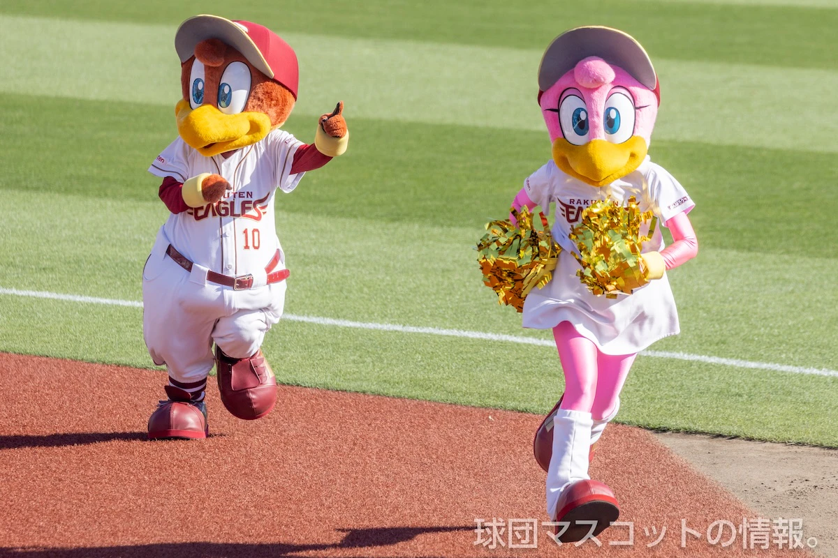クラッチーナの画像 12枚目