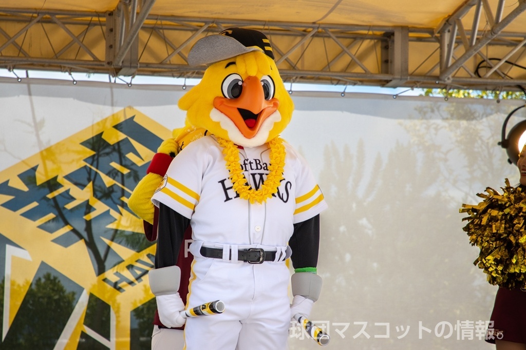 ハリーホークのサムネイル
