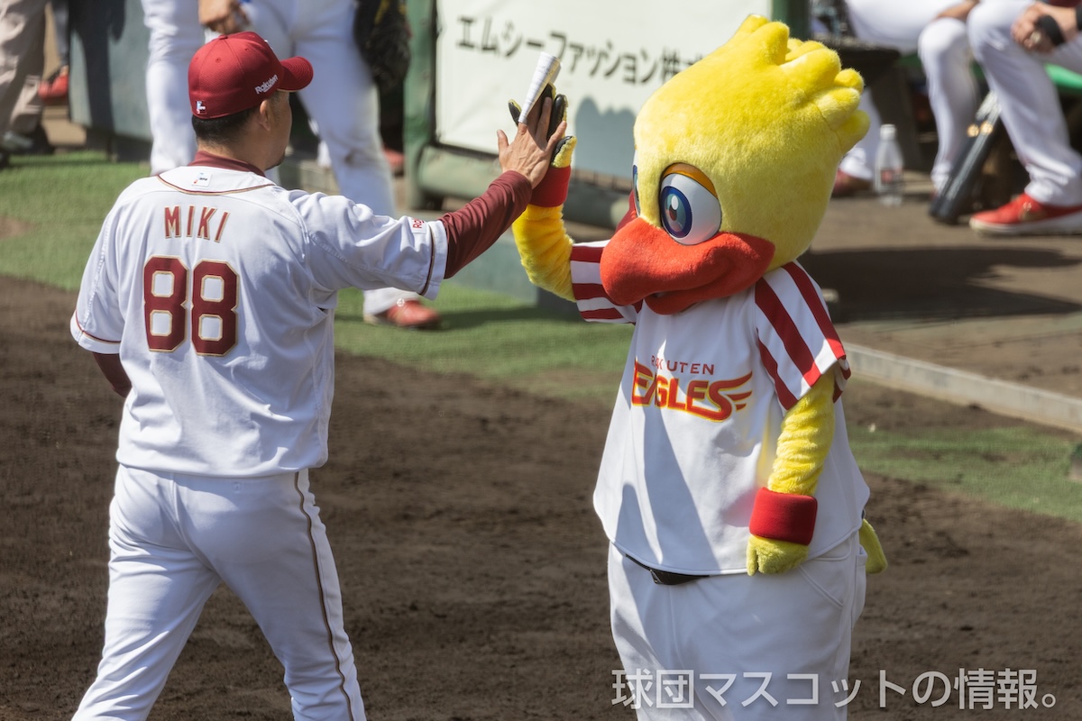 [オープン戦]楽天対ロッテ