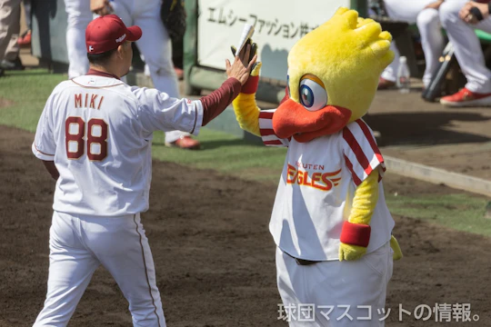スイッチ [オープン戦]楽天対ロッテ