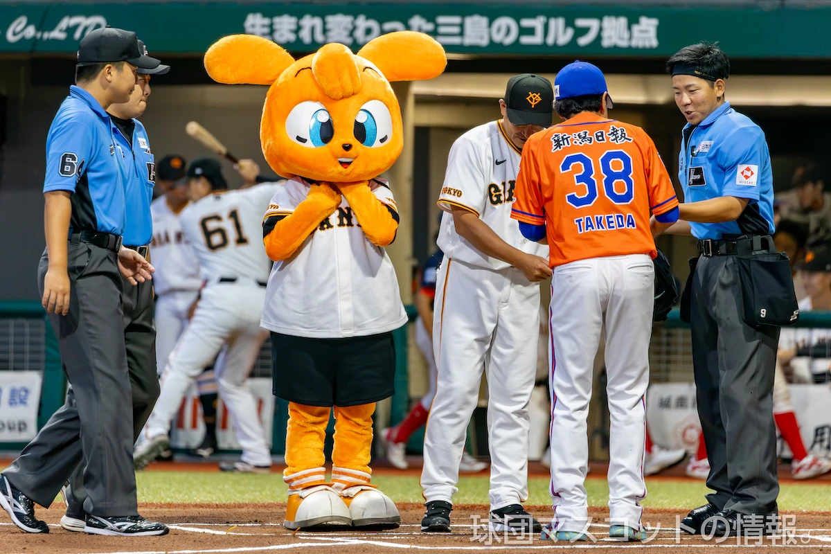 キッズジャビットおとこのこの画像 24枚目